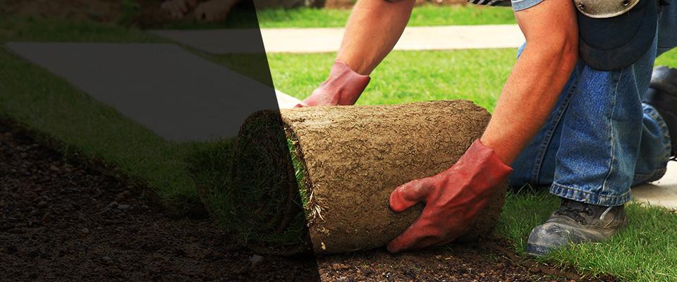 Cheney Landscapers